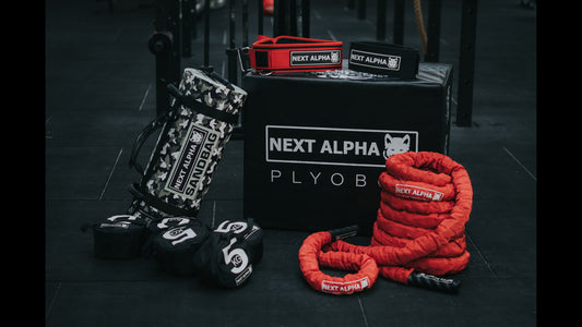 Next Alpha Functional Fitness Equipment