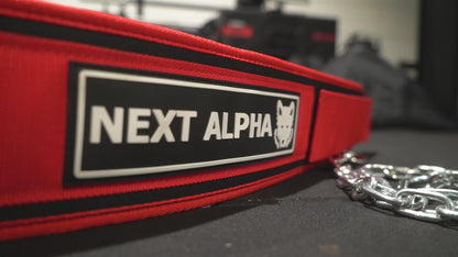 Next Alpha Dip & Squat Belt